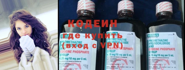 гашик Горняк