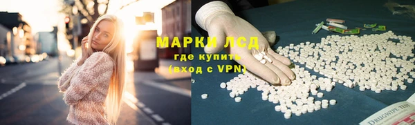 гашик Горняк