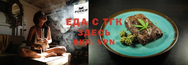 гашик Горняк