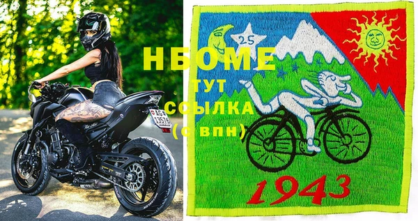 гашик Горняк