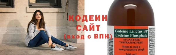 гашик Горняк