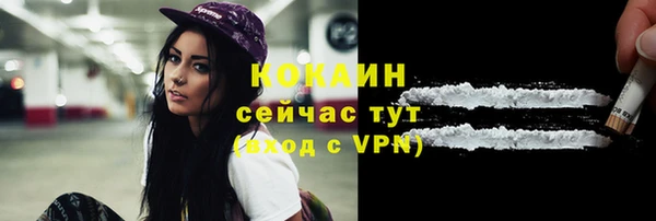 гашик Горняк