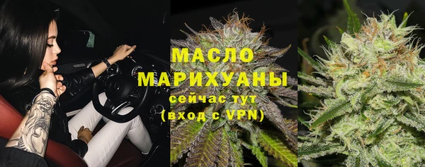 гашик Горняк