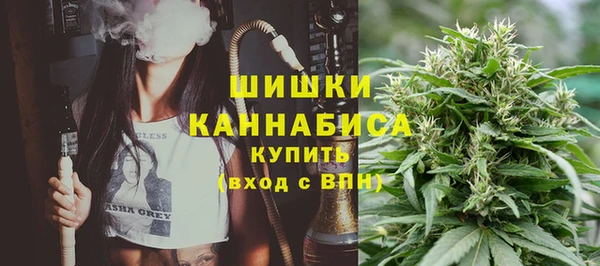 молекула духа Горно-Алтайск