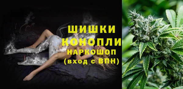 метадон Горнозаводск