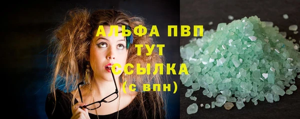 гашик Горняк