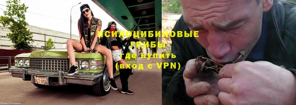 гашик Горняк